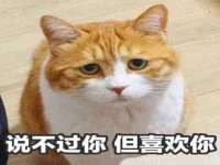 骥子龙文融资租赁（深圳）有限公司