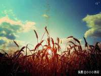 骥子龙文融资租赁（深圳）有限公司