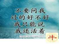 骥子龙文融资租赁（深圳）有限公司