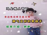 骥子龙文融资租赁（深圳）有限公司