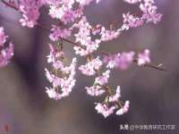骥子龙文融资租赁（深圳）有限公司