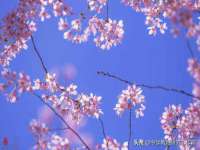 骥子龙文融资租赁（深圳）有限公司