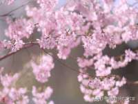 骥子龙文融资租赁（深圳）有限公司