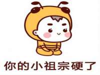 骥子龙文融资租赁（深圳）有限公司