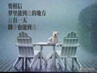 骥子龙文融资租赁（深圳）有限公司