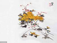 骥子龙文融资租赁（深圳）有限公司