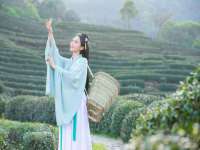 骥子龙文融资租赁（深圳）有限公司