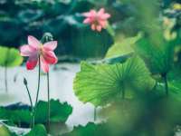 骥子龙文融资租赁（深圳）有限公司