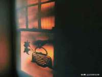 骥子龙文融资租赁（深圳）有限公司