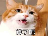 骥子龙文融资租赁（深圳）有限公司