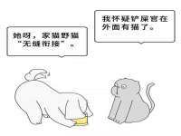 骥子龙文融资租赁（深圳）有限公司