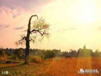 骥子龙文融资租赁（深圳）有限公司