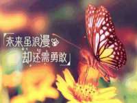 骥子龙文融资租赁（深圳）有限公司