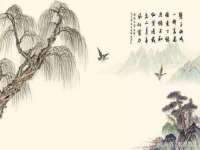 骥子龙文融资租赁（深圳）有限公司