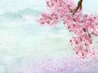 骥子龙文融资租赁（深圳）有限公司
