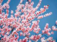 骥子龙文融资租赁（深圳）有限公司