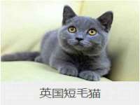 骥子龙文融资租赁（深圳）有限公司