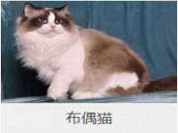 骥子龙文融资租赁（深圳）有限公司
