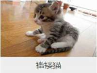骥子龙文融资租赁（深圳）有限公司