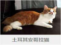 骥子龙文融资租赁（深圳）有限公司