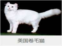 骥子龙文融资租赁（深圳）有限公司