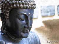 骥子龙文融资租赁（深圳）有限公司