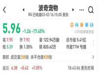 骥子龙文融资租赁（深圳）有限公司