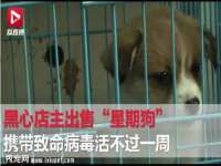 骥子龙文融资租赁（深圳）有限公司
