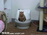 骥子龙文融资租赁（深圳）有限公司
