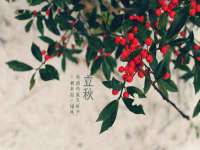 骥子龙文融资租赁（深圳）有限公司