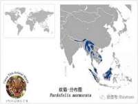 骥子龙文融资租赁（深圳）有限公司