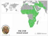 骥子龙文融资租赁（深圳）有限公司