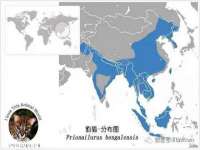 骥子龙文融资租赁（深圳）有限公司