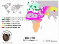 骥子龙文融资租赁（深圳）有限公司
