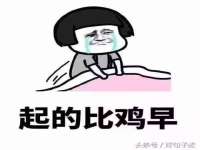骥子龙文融资租赁（深圳）有限公司