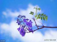 骥子龙文融资租赁（深圳）有限公司