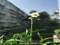 骥子龙文融资租赁（深圳）有限公司