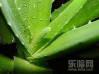 骥子龙文融资租赁（深圳）有限公司