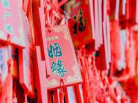 骥子龙文融资租赁（深圳）有限公司
