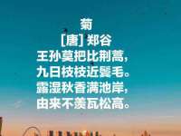 骥子龙文融资租赁（深圳）有限公司