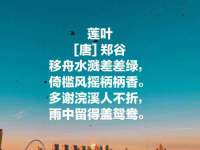 骥子龙文融资租赁（深圳）有限公司