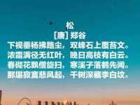骥子龙文融资租赁（深圳）有限公司