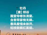 骥子龙文融资租赁（深圳）有限公司