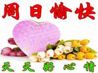 骥子龙文融资租赁（深圳）有限公司