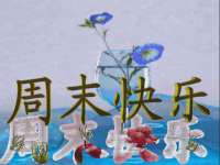 骥子龙文融资租赁（深圳）有限公司