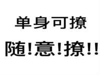 骥子龙文融资租赁（深圳）有限公司