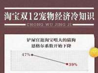 骥子龙文融资租赁（深圳）有限公司