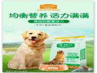 骥子龙文融资租赁（深圳）有限公司