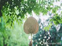 骥子龙文融资租赁（深圳）有限公司
