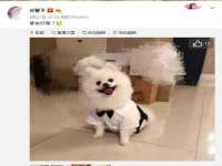 骥子龙文融资租赁（深圳）有限公司